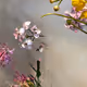 Learning Nature (b38,2023,13-e21)