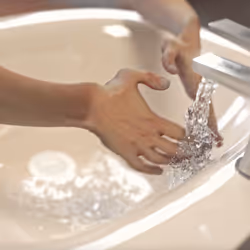 Proper Handwashing Technique