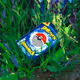 Lost Card