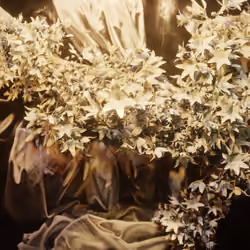 Resurrectio autem Magdalenae