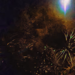 North Star