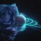  Cosmic Nullverse
