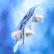 Swim in the Sky