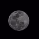 First Moon of the New Cycle 