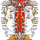 13574