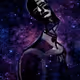 11488