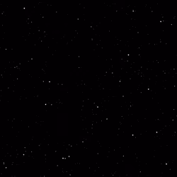 Stargaze