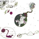 10761