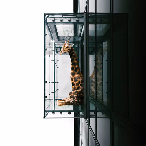 Such Great Heights