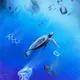 Plastic 0cean
