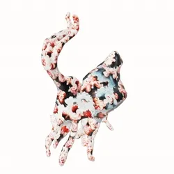 {Specimen no. 5, Coelopidium leucopterus}