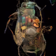 {bug_0246}