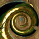 The First Helix