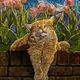 Catnap