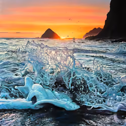 PULSE OF THE OCEAN