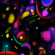 DREAM 77 (Multicolored)