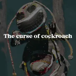 The curse of cockroach
