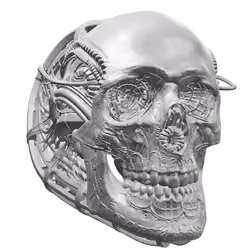 Modified Skull VR
