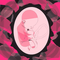 Baby Pope
