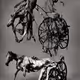 Dead Horses and Wheelchairs