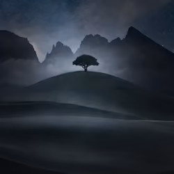Dreams