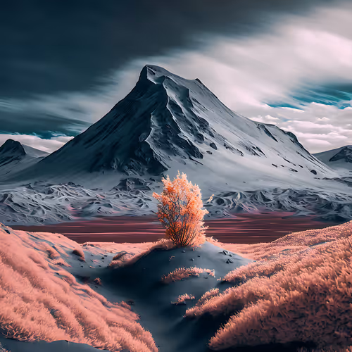 Infra Plant Peak #1