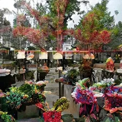 Ecological sensibility