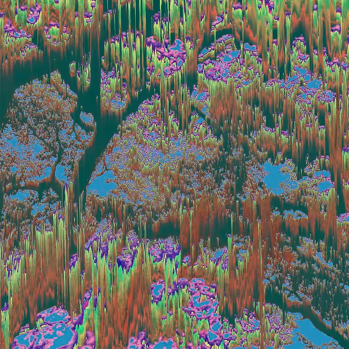 Weeping Willow 