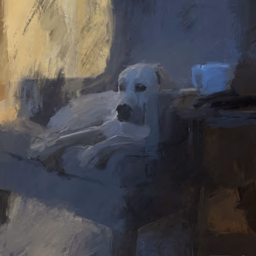 Dog on a chair watching TV