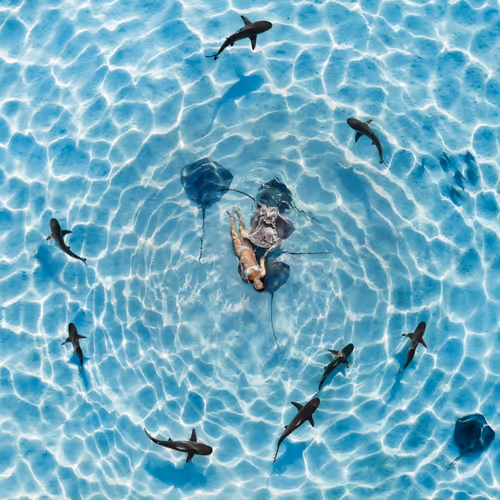 Lagoon Child