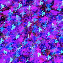 METACAMO-002