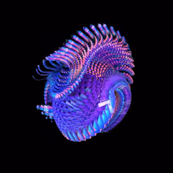 Phenomena #1 [sylph]