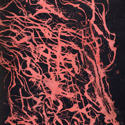 Neural Collapse