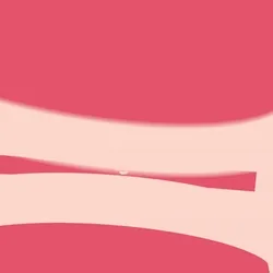 The Gummy