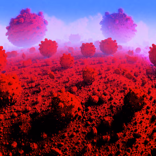 Meta-Fields
