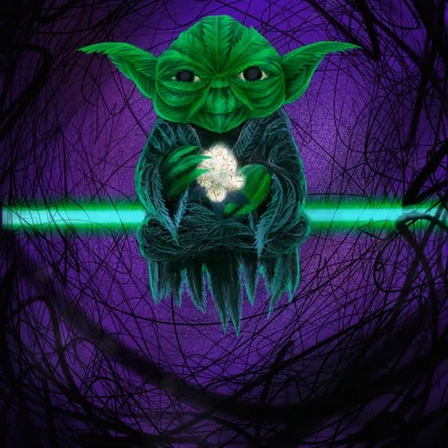 FEEL THE FORCE