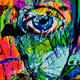 R. Anthropomorphous II (?)