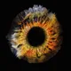 First Eye