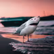 22235