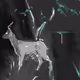 Nocturnal Deer - The Pentland Experiment