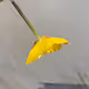 Learning Nature (b63d,2400,19,4,9,13,39,24-e21)
