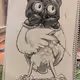 Pájaro Doctor 04/40