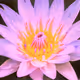 NFT Sunday Service: Wisdom