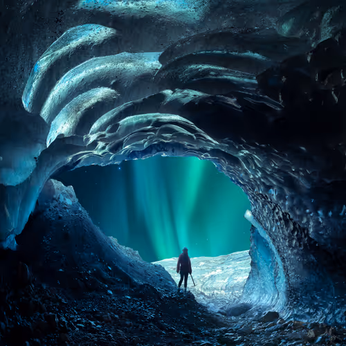 The Portal