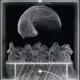 Kinesics