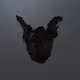 black wing -黒翼-