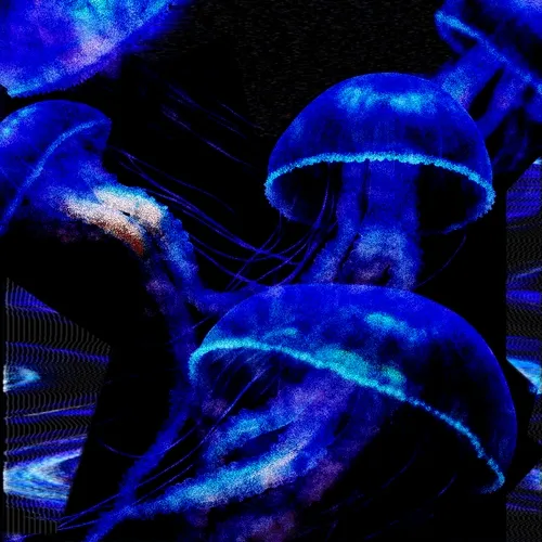 𝑩𝒍𝒖𝒆 𝑺𝒚𝒎𝒑𝒉𝒐𝒏𝒚