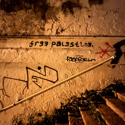 Fr33 Pal3stin3