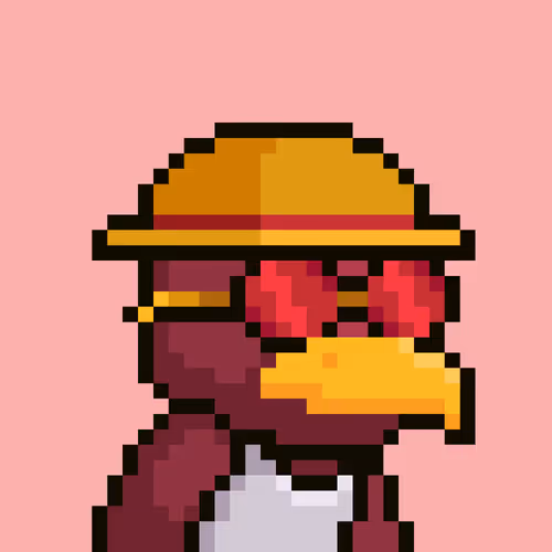 Bird Alpha Club 