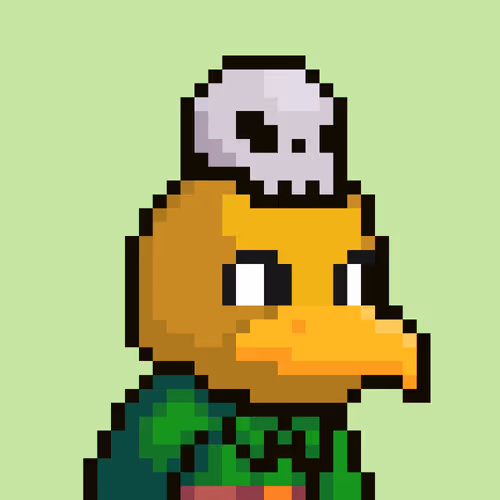 Bird Alpha Club 